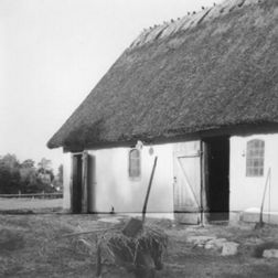 stuebjerggård 1950, stalden